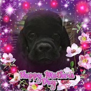 Meet your Posher, Patricia ann